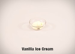 5732-Vanilla-Ice-Cream-cropped-full-res copy